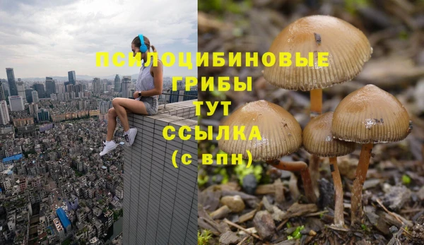 гидра Бугульма