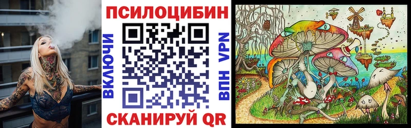 mega вход  Мамоново  Галлюциногенные грибы прущие грибы 